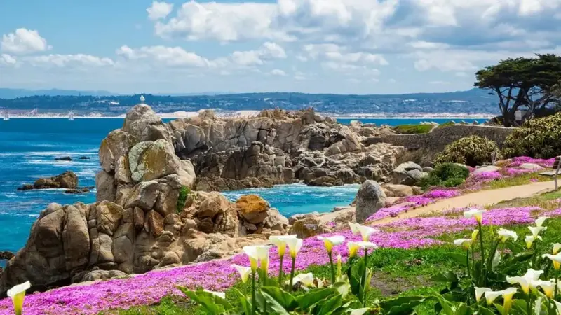 7 Monterey CA
