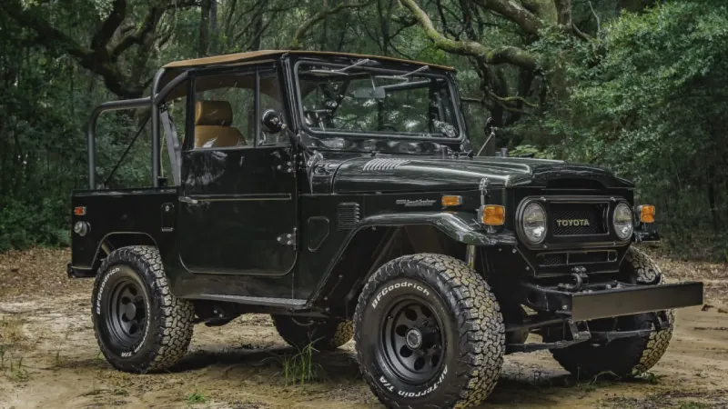 PAT FJ 800x533