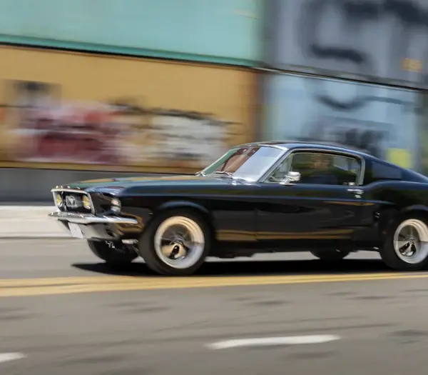 Mustang Additional Info 05