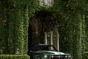 Urban Sophistication_Green Classic Ford Mustang