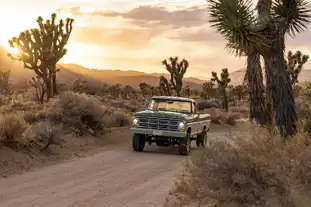 Rugged Adventures_Green Classic Ford F250