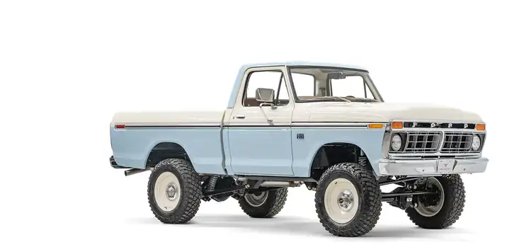 Classic Ford F 150 Dentside