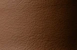 Live Oak Leather