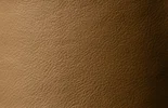 Shoreline Leather