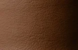 Live Oak Leather