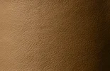 Shoreline Leather