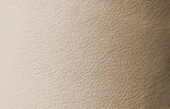 Sand Dollar Vinyl