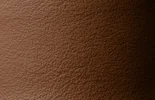 Live Oak Leather