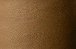 Shoreline Leather