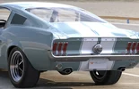 White Racing Stripes