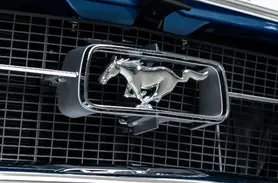 1968 Ford Mustang Fastback_24 Exterior  Copy