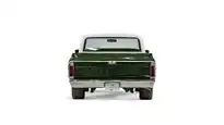 1969 Chevrolet C10 Truck_11 Rear Tailgate