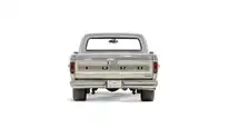 1969 Ford F100 For Sale_11 Rear Tailgate