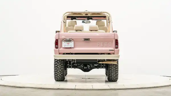 1971 Vintage Pink Ford Bronco For Sale_11 Rear Tailgate
