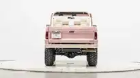 1976 Pink Ford Bronco For Sale_11 Rear Tailgate