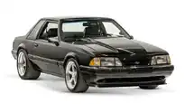 14430 Black Fox Body Lg