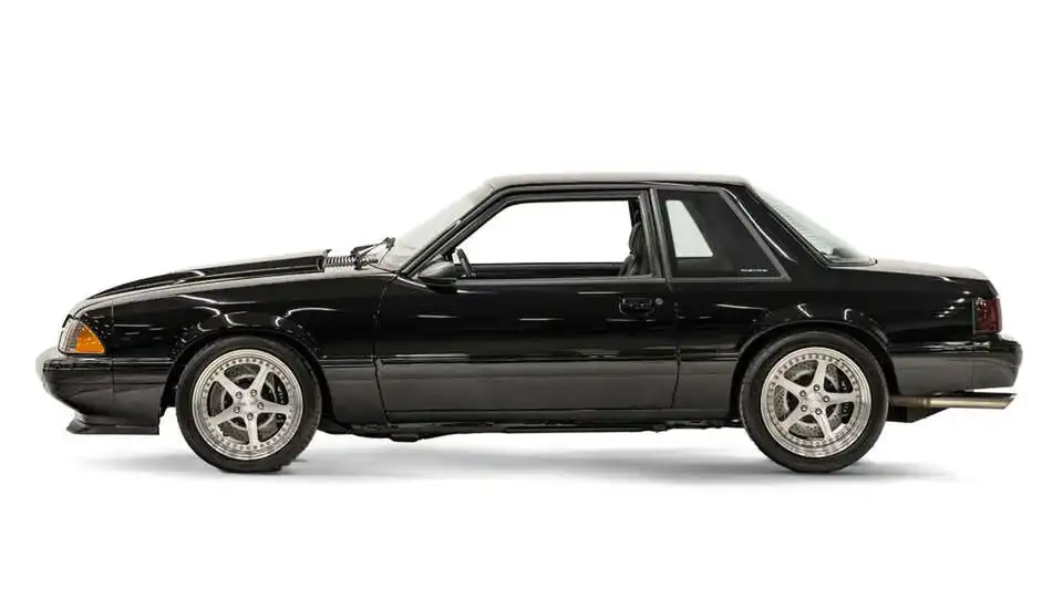 14432 Black Fox Body 2 Lg