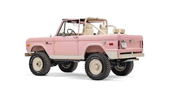1966_Pink_Ranger_0007_Driver Side Rear QTR