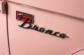 1973 Pink Early Ford Bronco_25 Exterior