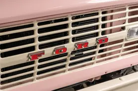 1973 Pink Early Ford Bronco_23 Exterior
