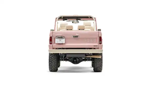 1968 Pink Ford Bronco For Sale_11 Rear Tailgate