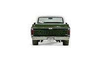 1969 Chevrolet C10 Truck_11 Rear Tailgate